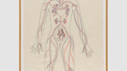 Gudrun Hasle. Blood Circuit