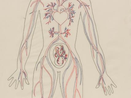 Gudrun Hasle. Blood Circuit